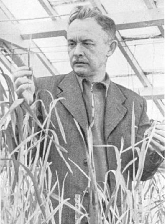 D. O. Dolhushyn