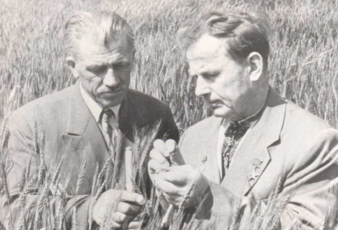 P. Kh. Harkaviy & F. H. Kyrychenko