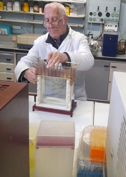 Researcher P. S. Tykhonov