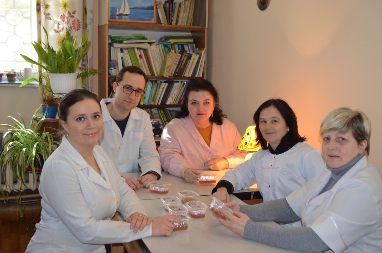 Laboratory staff with in vitro cultures